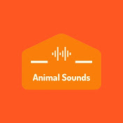 Animal Sounds