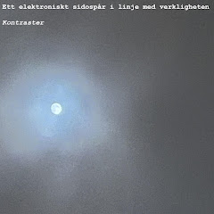 Ett elektroniskt sidospår i linje med verkligheten - Topic