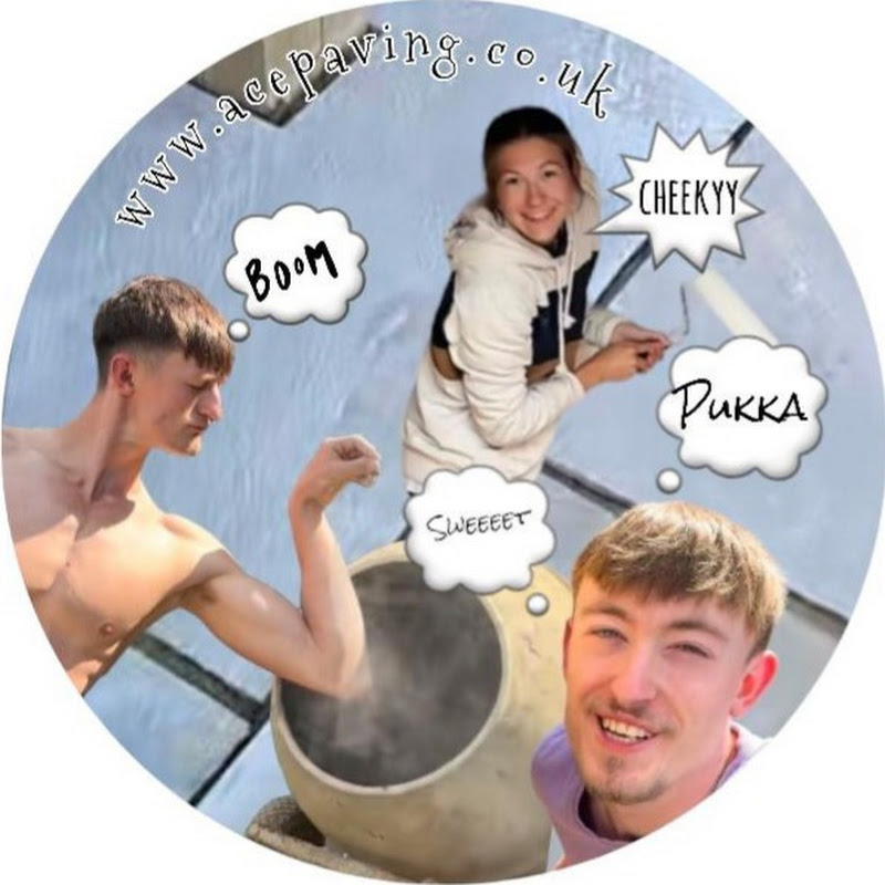 The professional idiots 