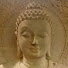 0gc4-kDEVXs-channel-avatar-AVT