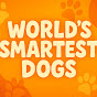 World's Smartest Dogs logo