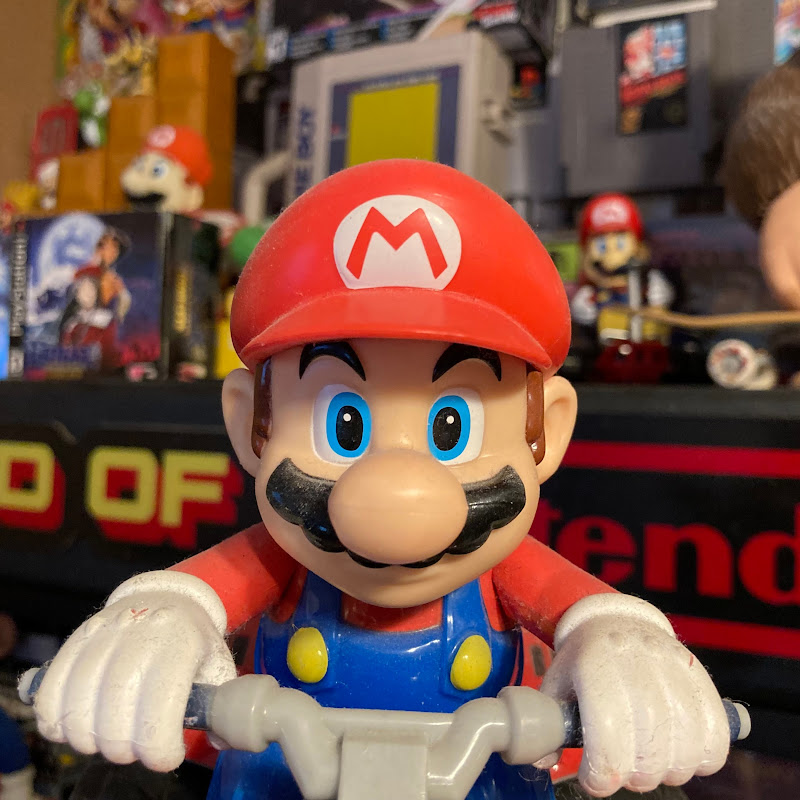 The Nintendo World