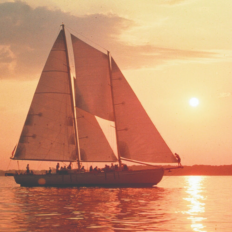Schooner Woodwind Sailing Cruises