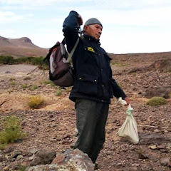 SNAKE MAN brahim_العساوي براهيم  net worth