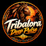 evxRTzr4dGA-channel-avatar-Tribalora Deep Pulse