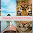 boK7fdtl4GU-channel-avatar-Mowgli Productions
