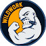 wHB1bj2zsLU-channel-avatar-WildWork