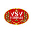 m5kfZVAevPE-channel-avatar-VSV Herbals