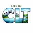 lbD-LthE7M4-channel-avatar-Life in Charlotte North Carolina