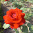 @김난희-g9l