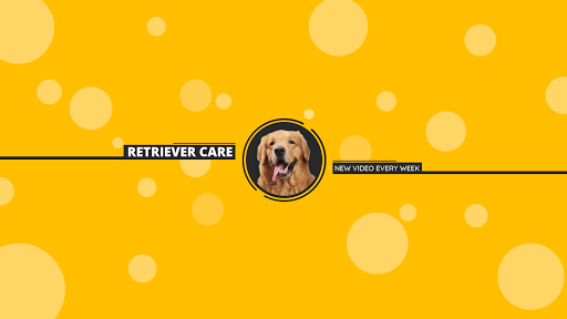 Retriever Care thumbnail