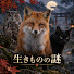 7-HxEybTws4-channel-avatar-生きものの謎