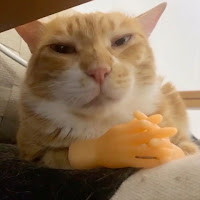 NextEvolution profile image
