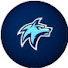 012eJFpOl9o-channel-avatar-THE_WOLFLIGHT