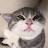 @체크메이트-KAKA_22
