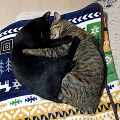 ねことマリメ