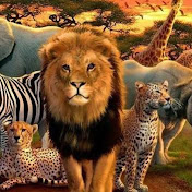 Wildlife Telecast