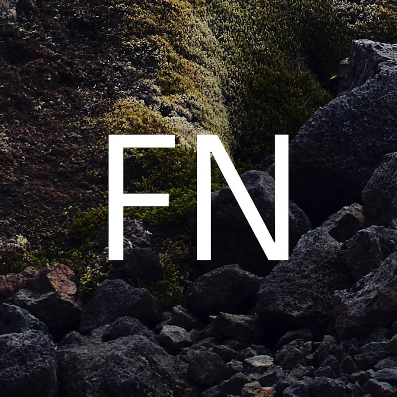 FN COLLECTIVE