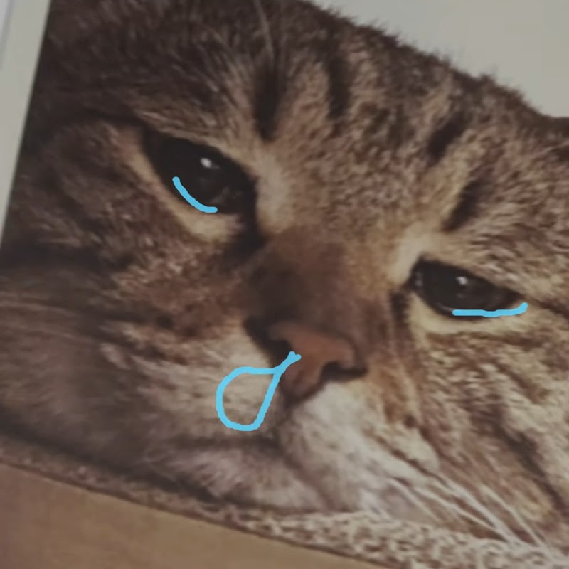 newjeans thsub