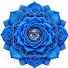 FpO15c1p74w-channel-avatar-Blue Rose Numinous