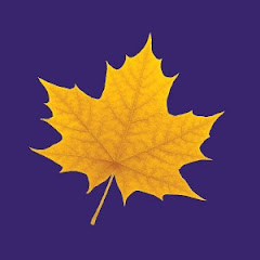 Wilfrid Laurier University net worth
