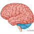 eKC7qf0k0mE-channel-avatar-General Knowledge Universe