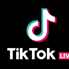 Tiktok Punishment
