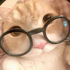 도루쥐