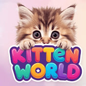 kitten world