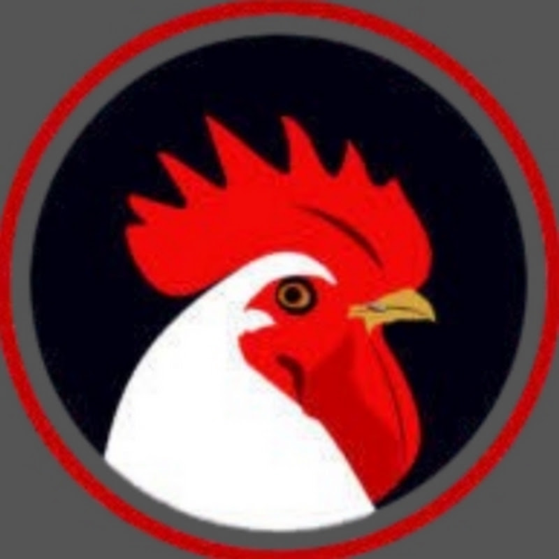 chicken environment 1