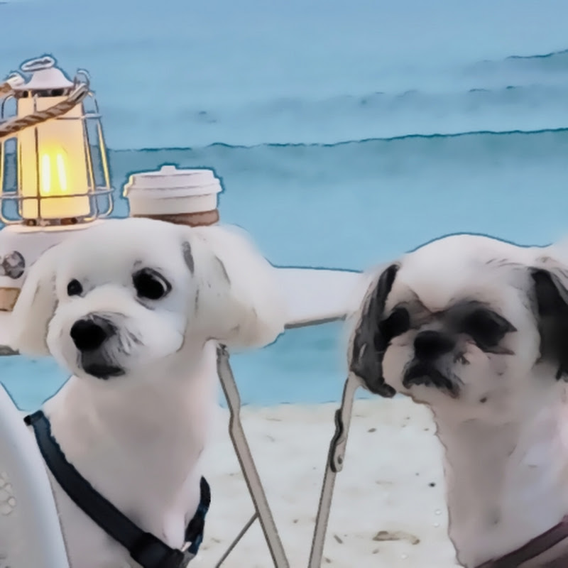 1 page  Fairy  tales