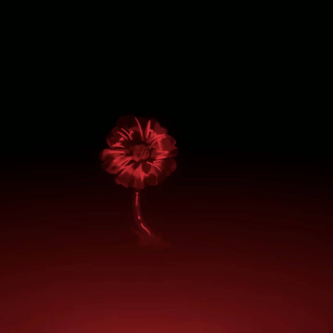 Post from Ghost’s editz