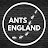Ants England