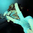p83BqTtYwOw-channel-avatar-Shreyoxx