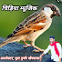 9aSr2Cu0FwM-channel-avatar-Chidiya Music Company
