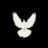 uZq4NDfiz2I-channel-avatar-kabotarsilver