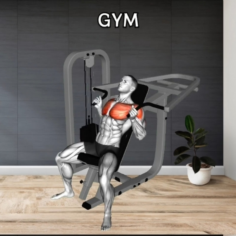 the.workout model 