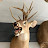 @CooterMolot Avatar