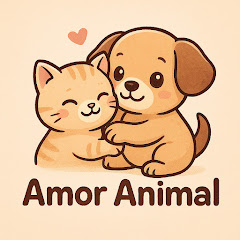 Amor Animal