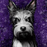 CN3L5vrfF9U-channel-avatar-LAWhammer