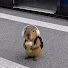 _BooUwaWPGM-channel-avatar-Kosafee Fee