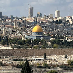 Watcher Palmer Avatar