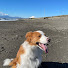 xviBCoFs_MI-channel-avatar-湘南の犬:ももの助の山歩旅: Walking My Life.