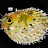 @puffinpuffy Avatar