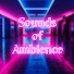 TEpdi76UL7s-channel-avatar-Sounds of Ambience