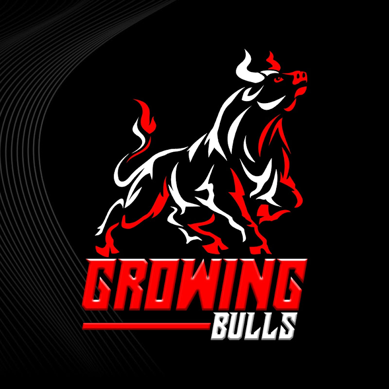 GrowingBulls - Soleiman Erfan