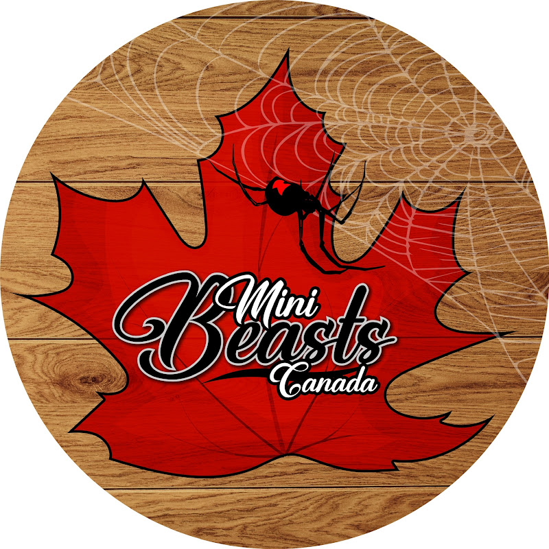 Mini Beasts Canada