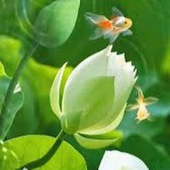 しあわせ時間アイコン画像