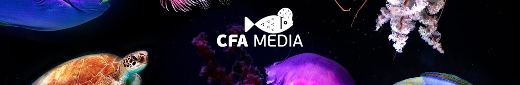 CFA MEDIA YouTube channel avatar