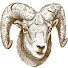 o_5mdzlrZHk-channel-avatar-Ramsey